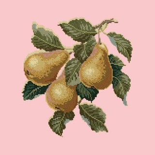 Pears Needlepoint Kit Kits Elizabeth Bradley Design Pale Rose 
