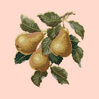 Pears Needlepoint Kit Kits Elizabeth Bradley Design Salmon Pink 
