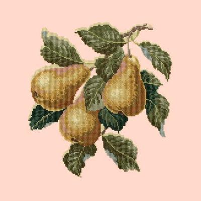 Pears Needlepoint Kit Kits Elizabeth Bradley Design Salmon Pink 
