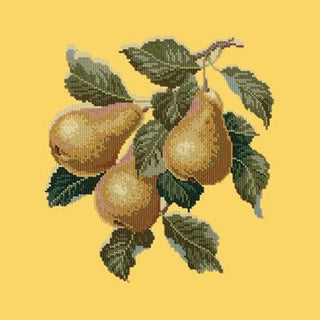 Pears Needlepoint Kit Kits Elizabeth Bradley Design Sunflower Yellow 
