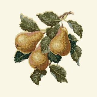 Pears Needlepoint Kit Kits Elizabeth Bradley Design Winter White 
