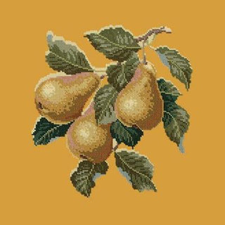 Pears Needlepoint Kit Kits Elizabeth Bradley Design Yellow 
