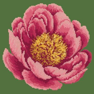 Peony Needlepoint Kit Kits Elizabeth Bradley Design 
