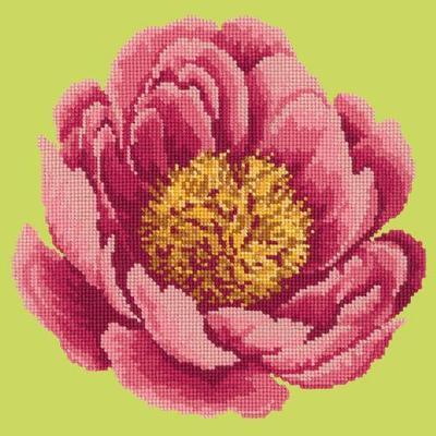 Peony Needlepoint Kit Kits Elizabeth Bradley Design 
