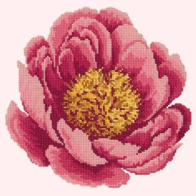 Peony Needlepoint Kit Kits Elizabeth Bradley Design 
