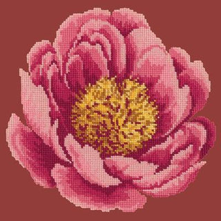 Peony Needlepoint Kit Kits Elizabeth Bradley Design 
