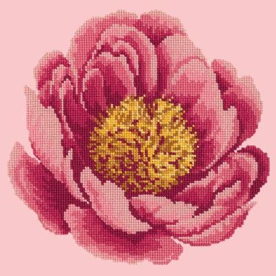 Peony Needlepoint Kit Kits Elizabeth Bradley Design 
