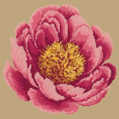 Peony Needlepoint Kit Kits Elizabeth Bradley Design 
