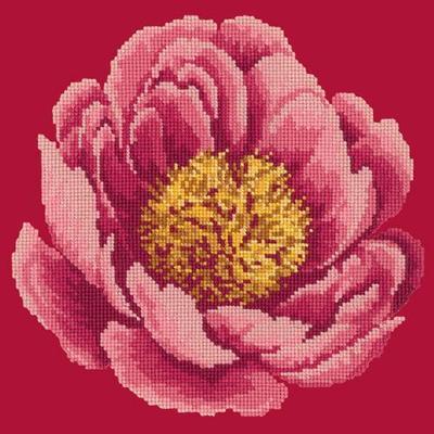 Peony Needlepoint Kit Kits Elizabeth Bradley Design 
