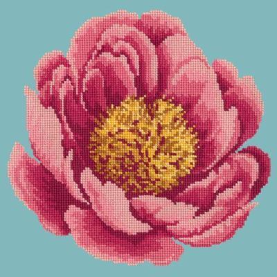 Peony Needlepoint Kit Kits Elizabeth Bradley Design 
