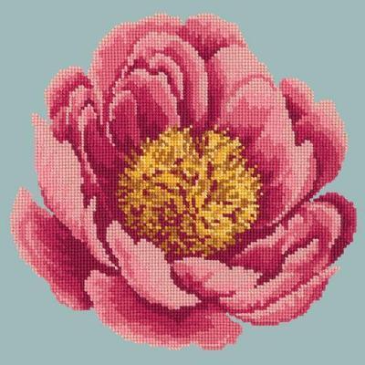 Peony Needlepoint Kit Kits Elizabeth Bradley Design 
