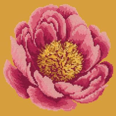 Peony Needlepoint Kit Kits Elizabeth Bradley Design 
