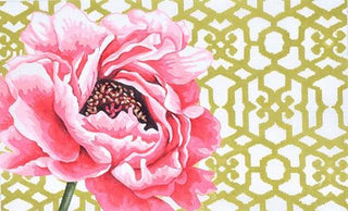 Peony Trellis on 13 Painted Canvas Kirk & Bradley 

