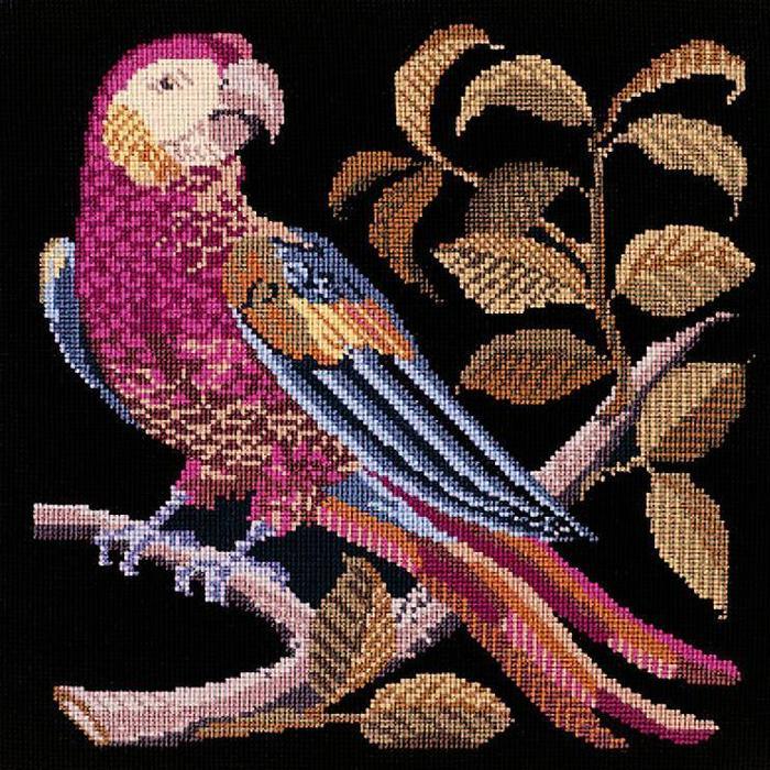Pete the Parrot Needlepoint Kit Kits Elizabeth Bradley Design Black 
