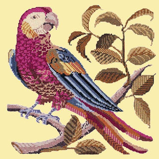 Pete the Parrot Needlepoint Kit Kits Elizabeth Bradley Design Butter Yellow 
