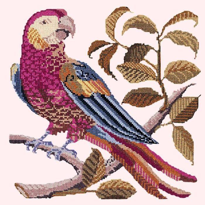 Pete the Parrot Needlepoint Kit Kits Elizabeth Bradley Design Cream 