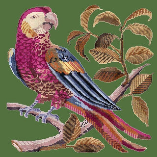 Pete the Parrot Needlepoint Kit Kits Elizabeth Bradley Design Dark Green 
