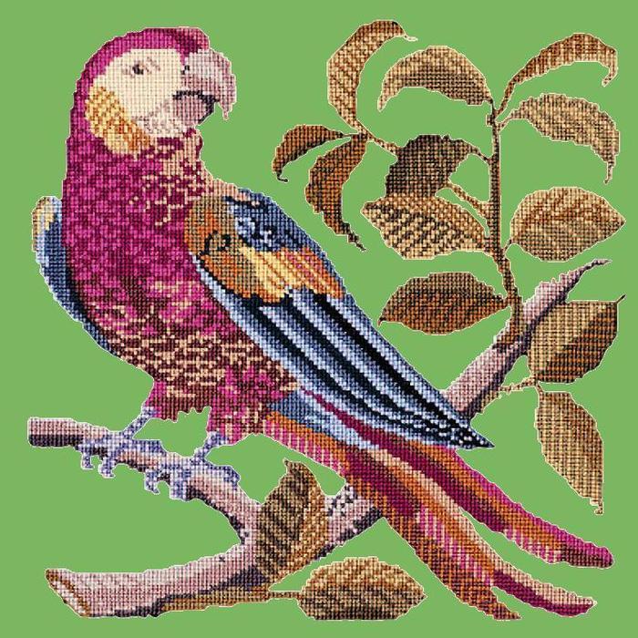 Pete the Parrot Needlepoint Kit Kits Elizabeth Bradley Design Grass Green 
