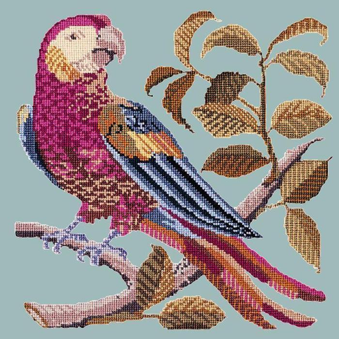 Pete the Parrot Needlepoint Kit Kits Elizabeth Bradley Design Pale Blue 
