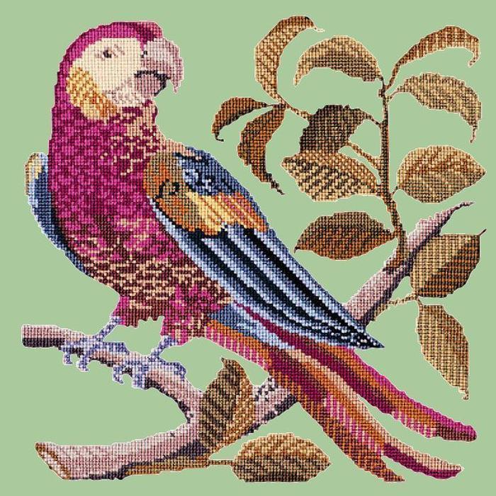 Pete the Parrot Needlepoint Kit Kits Elizabeth Bradley Design Pale Green 
