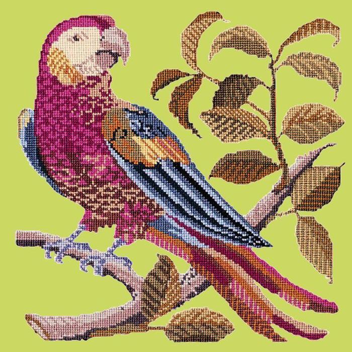 Pete the Parrot Needlepoint Kit Kits Elizabeth Bradley Design Pale Lime 
