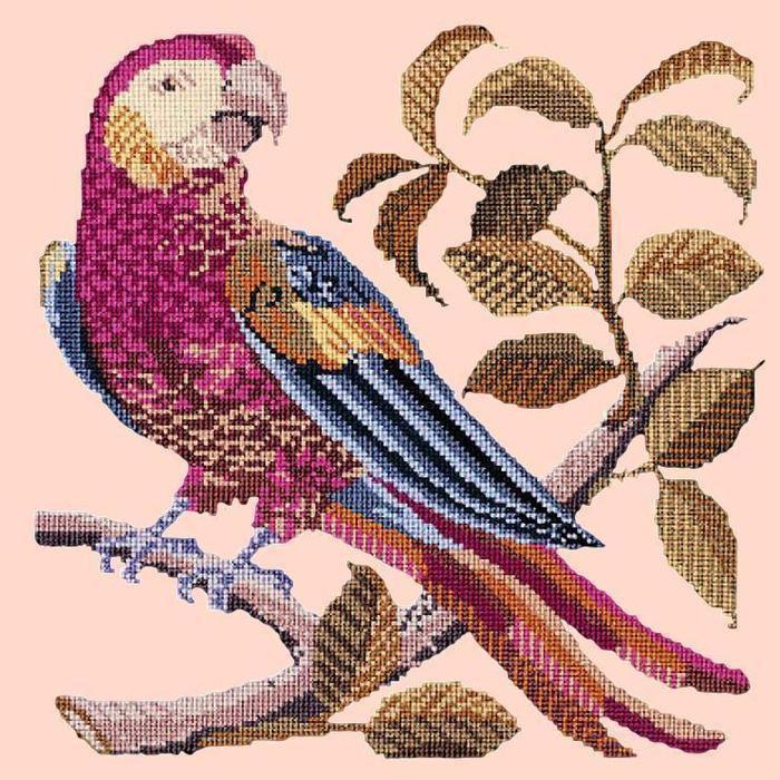 Pete the Parrot Needlepoint Kit Kits Elizabeth Bradley Design Salmon Pink 
