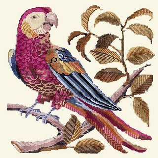 Pete the Parrot Needlepoint Kit Kits Elizabeth Bradley Design Winter White 
