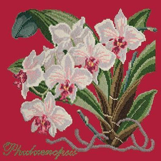 Phalaenopsis Needlepoint Kit Kits Elizabeth Bradley Design Bright Red 
