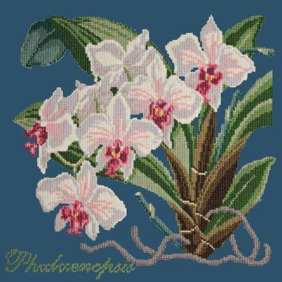 Phalaenopsis Needlepoint Kit Kits Elizabeth Bradley Design Dark Blue 
