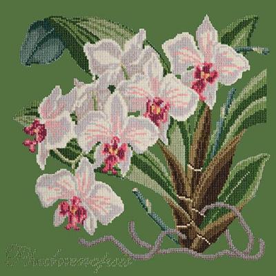 Phalaenopsis Needlepoint Kit Kits Elizabeth Bradley Design Dark Green 