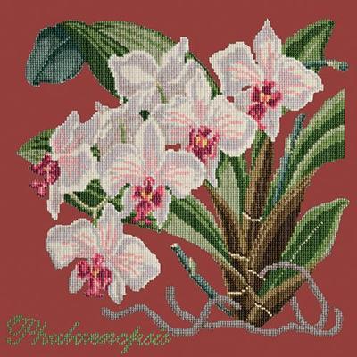 Phalaenopsis Needlepoint Kit Kits Elizabeth Bradley Design Dark Red 
