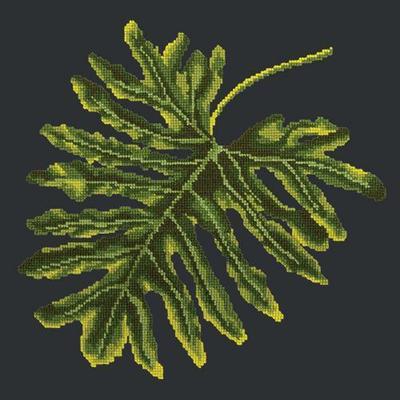 Philodendron Leaf Needlepoint Kit Kits Elizabeth Bradley Design Black 

