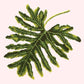 Philodendron Leaf Needlepoint Kit Kits Elizabeth Bradley Design Cream 