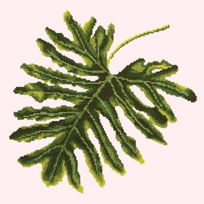 Philodendron Leaf Needlepoint Kit Kits Elizabeth Bradley Design Cream 
