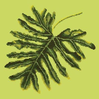 Philodendron Leaf Needlepoint Kit Kits Elizabeth Bradley Design Pale Lime 
