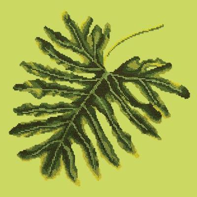 Philodendron Leaf Needlepoint Kit Kits Elizabeth Bradley Design Pale Lime 
