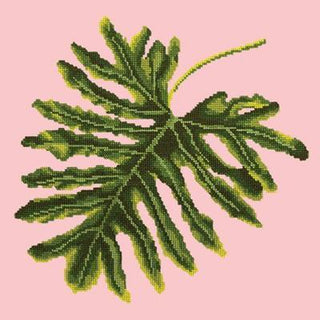 Philodendron Leaf Needlepoint Kit Kits Elizabeth Bradley Design Pale Rose 
