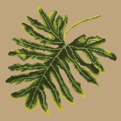 Philodendron Leaf Needlepoint Kit Kits Elizabeth Bradley Design Sand 