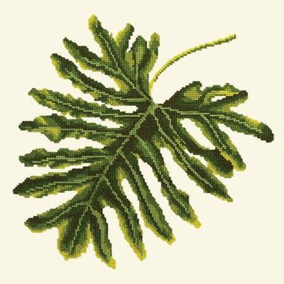 Philodendron Leaf Needlepoint Kit Kits Elizabeth Bradley Design Winter White 
