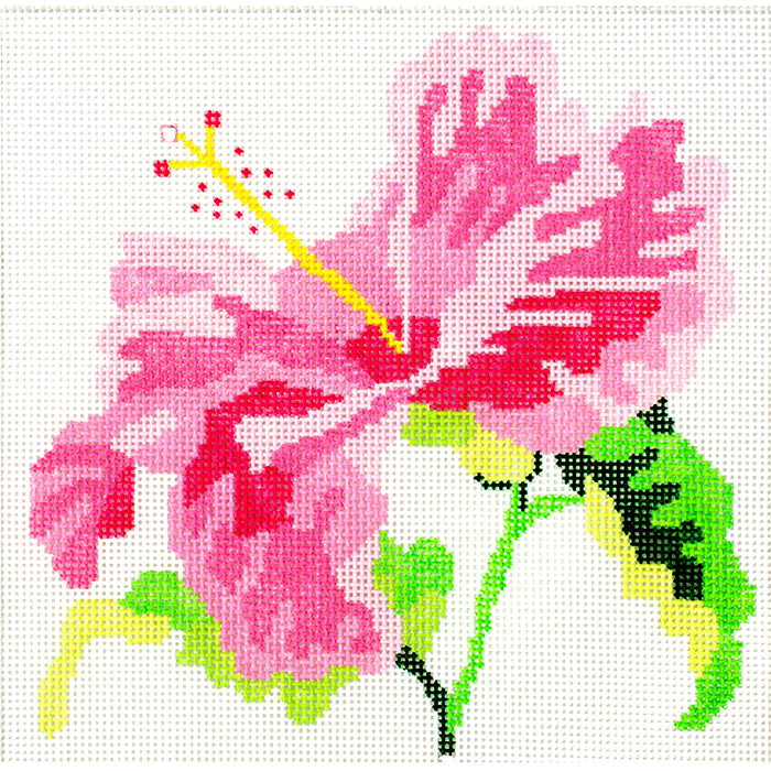Pink Hibiscus Painted Canvas Jean Smith 
