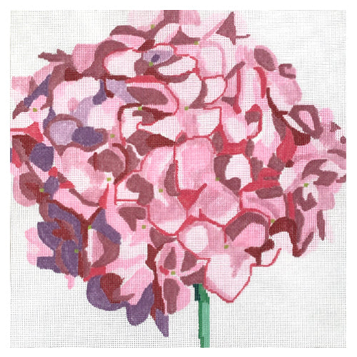 Pink Hydrangea Bloom Painted Canvas Jean Smith 