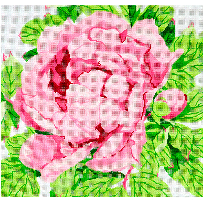 Pink Peony Blossom JS Painted Canvas Jean Smith  - 1