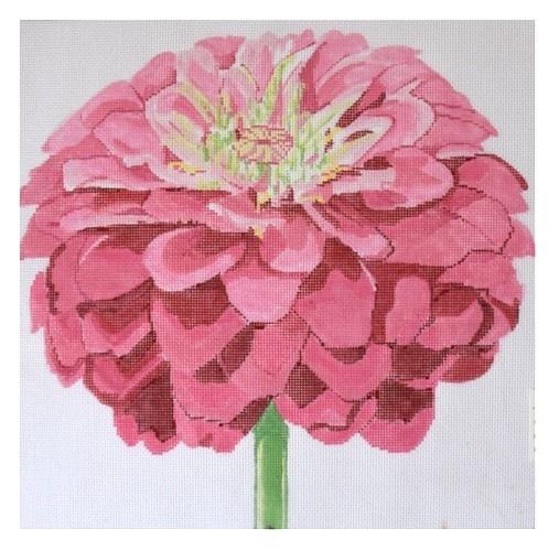 Pink Zinnia Painted Canvas Jean Smith 