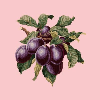 Plums Needlepoint Kit Kits Elizabeth Bradley Design Pale Rose 
