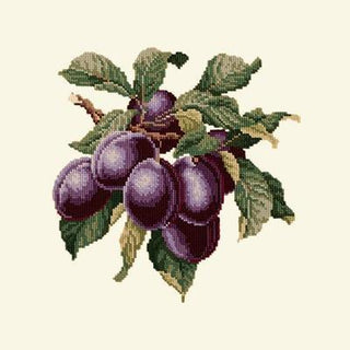 Plums Needlepoint Kit Kits Elizabeth Bradley Design Winter White 
