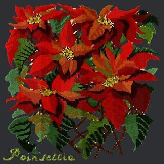 Poinsettia Needlepoint Kit Kits Elizabeth Bradley Design Black 
