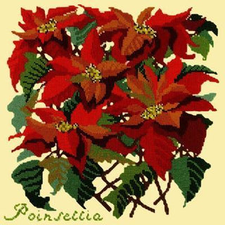 Poinsettia Needlepoint Kit Kits Elizabeth Bradley Design Butter Yellow 
