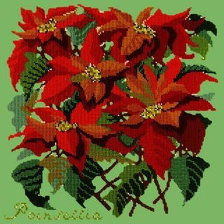 Poinsettia Needlepoint Kit Kits Elizabeth Bradley Design Grass Green 
