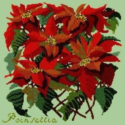 Poinsettia Needlepoint Kit Kits Elizabeth Bradley Design Pale Green 
