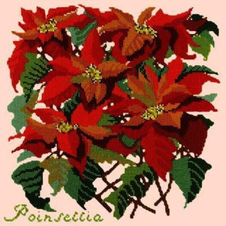 Poinsettia Needlepoint Kit Kits Elizabeth Bradley Design Salmon Pink 

